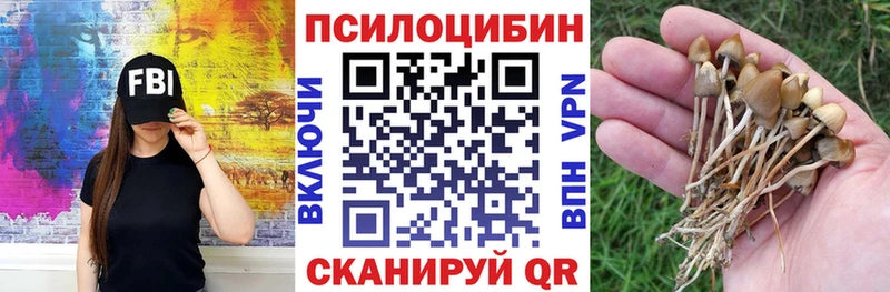 blacksprut онион  Лениногорск  Псилоцибиновые грибы Cubensis 