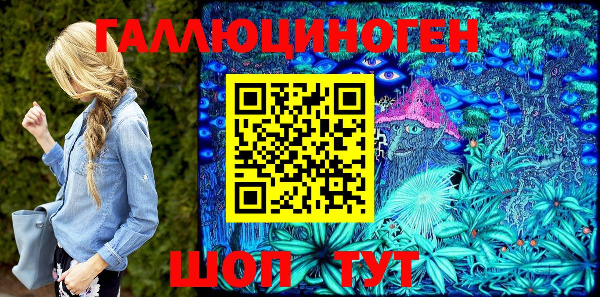 Псилоцибиновые грибы Cubensis Лениногорск