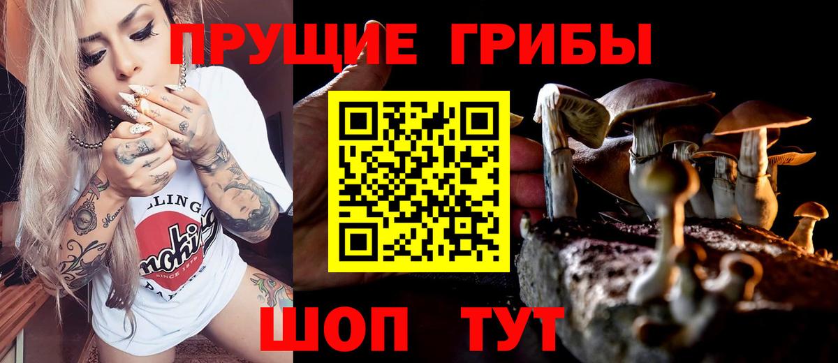 Лениногорск  даркнет сайт  Вход с VPN  Галлюциногенные грибы MAGIC MUSHROOMS 
