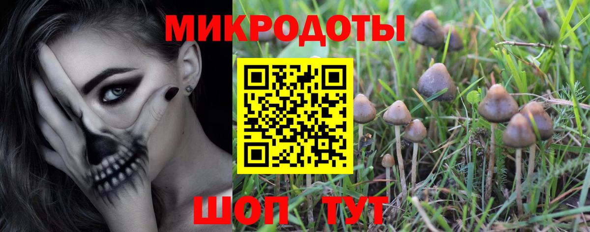 Лениногорск  Вход с VPN  Меф   ГАШ  Марихуана 