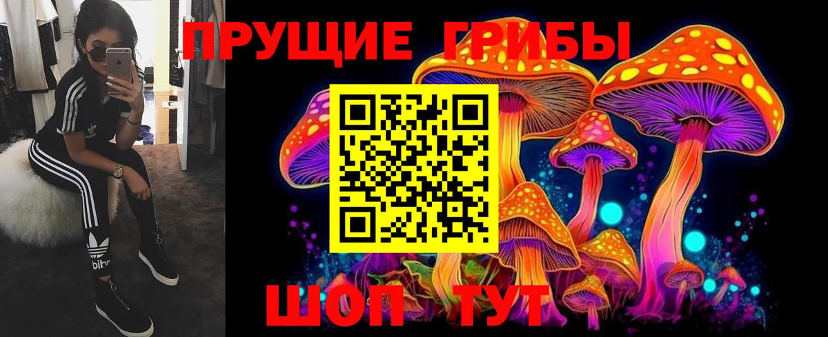 Галлюциногенные грибы MAGIC MUSHROOMS Лениногорск