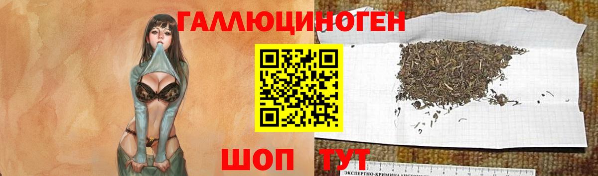 Лениногорск  Псилоцибиновые грибы прущие грибы  Галлюциногенные грибы GOLDEN TEACHER  Вход с VPN 